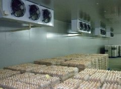 建一個(gè)冷庫(kù)，用來(lái)存50噸雞蛋要多少錢