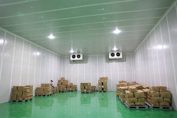建800平米鮮玉米冷凍庫，-18℃冷凍庫造價多少