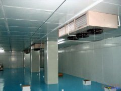 1000噸存儲水果保鮮冷庫造價,冷庫用電量多少?