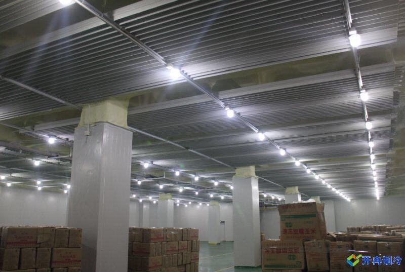上海開冉制冷為客戶建一個(gè)3000平水產(chǎn)冷凍庫案例完工內(nèi)景
