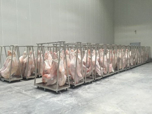 安裝一個(gè)肉類冷庫造價(jià)，凍肉冷凍庫建造