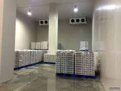 1000噸低溫冷庫安裝流程、設(shè)備、造價(jià)